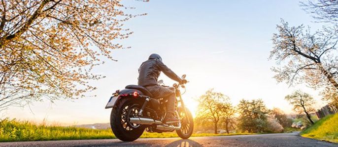 Eine Person fährt auf einem Motorrad auf einer Straße, die bei Sonnenuntergang von blühenden Bäumen umgeben ist.