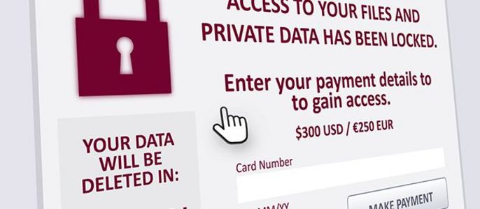 Eine Pop-up-Benachrichtigung, die den Nutzer darüber informiert, dass seine Dateien und privaten Daten gesperrt wurden, mit der Option, seine Zahlungsdaten einzugeben, um den Zugang wiederherzustellen.