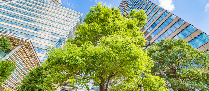 Hohe moderne Gebäude mit spiegelnden Glasfassaden, umgeben von üppigen grünen Bäumen, unter einem klaren blauen Himmel.