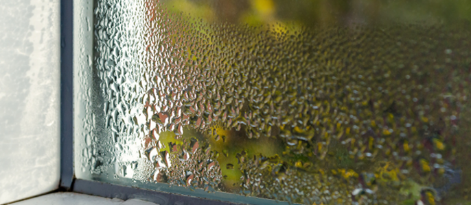 Ein Fenster mit Wassertropfen auf der Oberfläche, in dem sich ein verschwommener Hintergrund aus Bäumen und Blättern spiegelt.